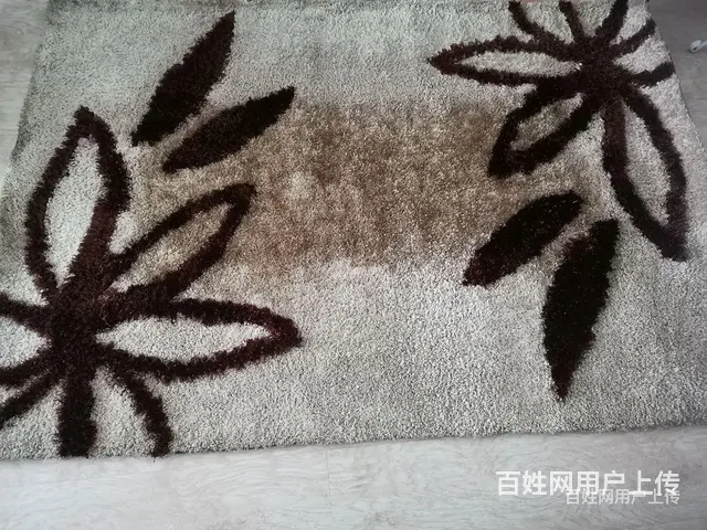 客厅地毯 - 图片 1