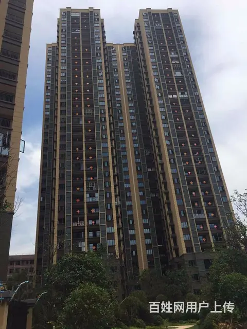 书院路碧沙湖地铁口附近，家电齐全，小区环境好，新小 - 图片 7