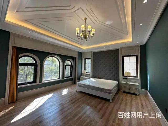 直降300W 车库 溪岸艺墅独栋  700米八室200米花园 - 图片 11