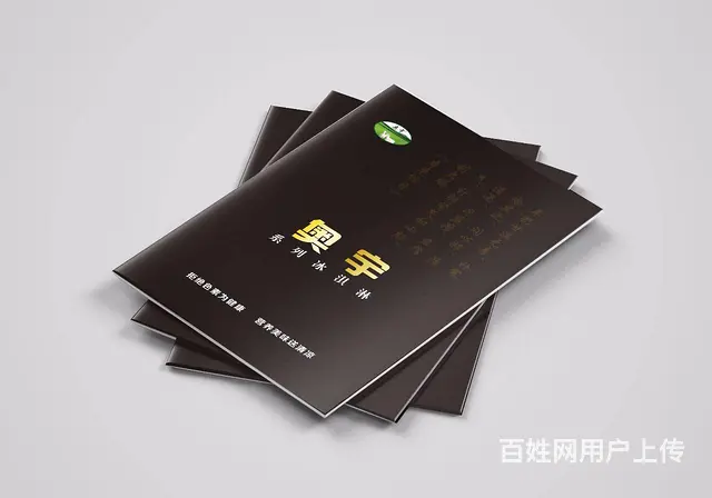 专业画册设计、单页设计、企业通讯录设计、折页设计 - 图片 7