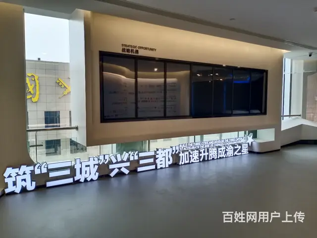 四川区域协同发展(遂宁)总部基地 - 图片 10