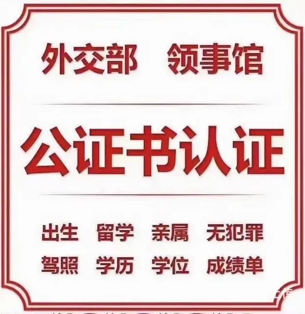 专业代办各国出国签证 出国签证办理 - 图片 7