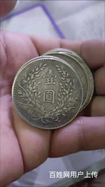 老银元 - 图片 6