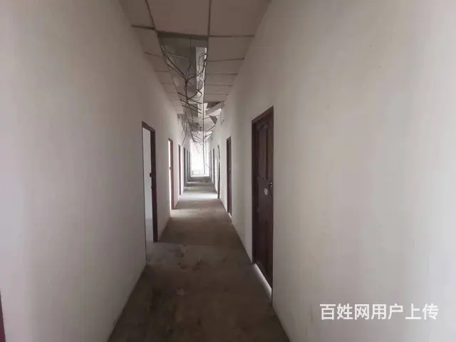 （51旺铺推荐）海棠湾南田800平场地出租 - 图片 7