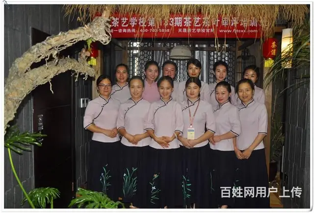长春茶艺培训问天晟茶艺培训学校：茶艺培训班招生简章 - 图片 10