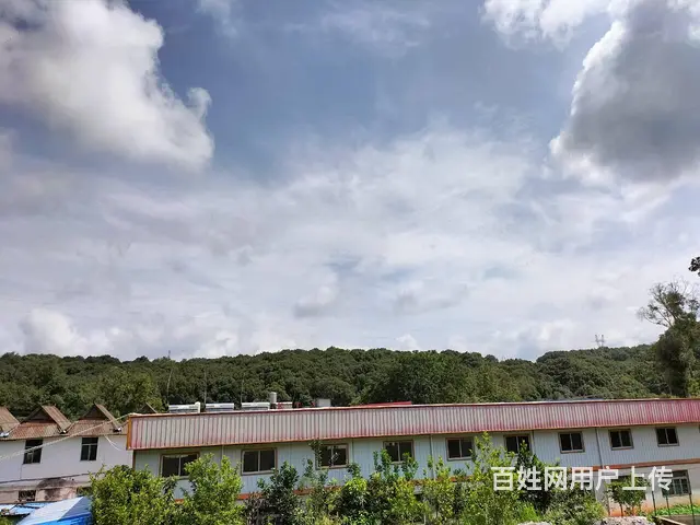 茶厂出租 - 图片 1