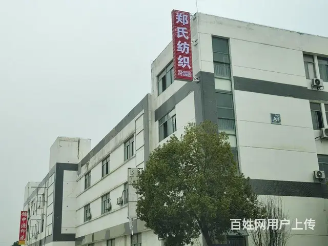 东森产业区标准厂房出租 - 图片 5