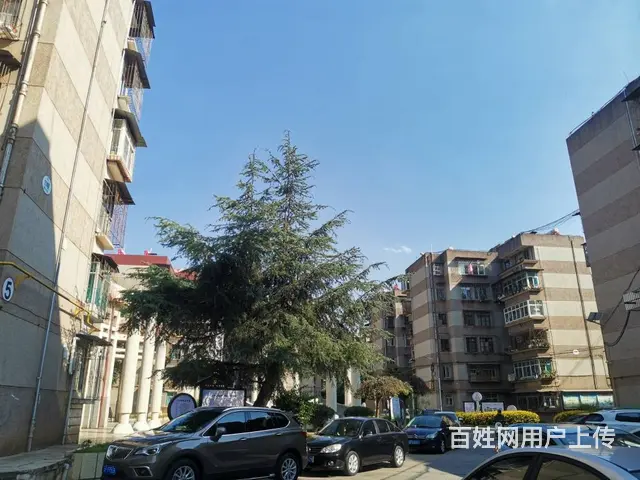 园丁小区 普通住宅2厅 中等装修 - 图片 12