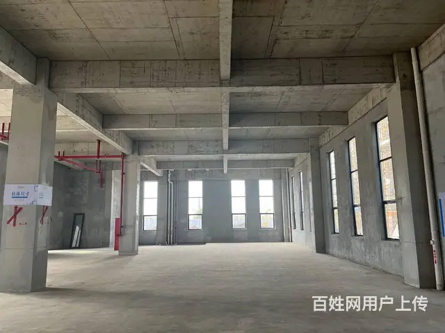 江门高新区厂房 - 图片 3