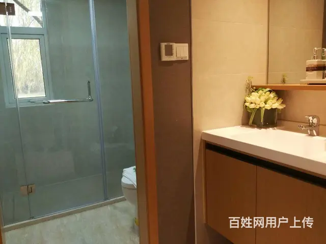 全椒国建理想城 高铁站旁 医院对面学区 即买即赚 - 图片 2
