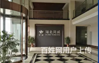 汽车网络销售员 - 图片 1