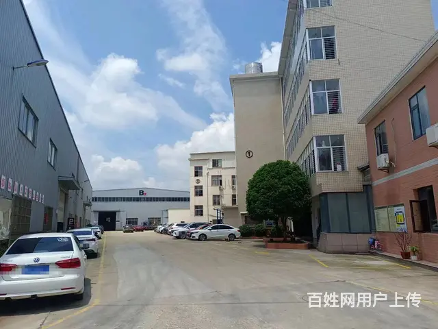 （老板本人）黄兴镇工业园区标准厂房仓库优价出租  6028 - 图片 4
