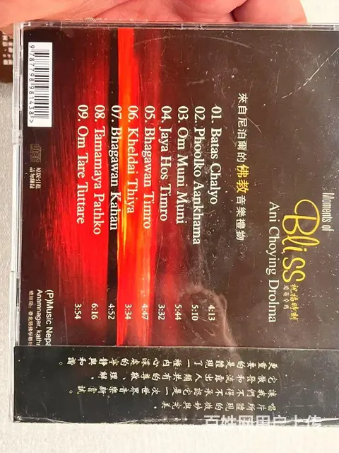 Ani Choying Drolma 琼英卓玛 - 图片 3