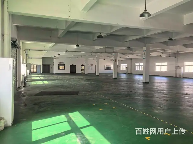 一楼1200平8毛标准丙类厂房招租 高度6米带大场地 - 图片 7