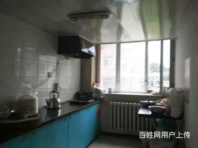 南山名苑小区 商住两用2厅 精装修 出售 - 图片 1