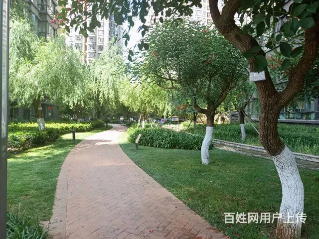 昆明捡漏 套三单 俊发盛唐城 产权清晰 无按揭 自住精装修 - 图片 9