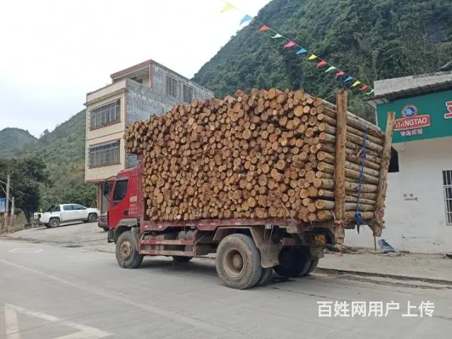 拉木靓车 - 图片 1