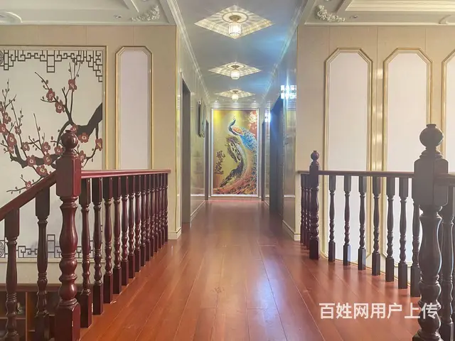 (房东直租)美丽乡村黄兴大道北侧精修别墅，厂房，鱼塘，空地 - 图片 5