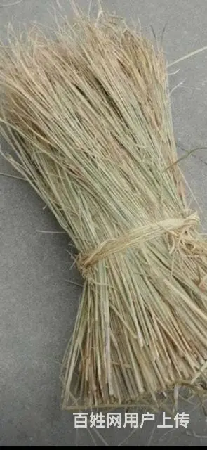 今年2024年新的稻草便宜卖了 - 图片