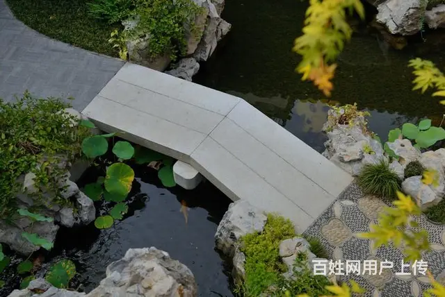 南京锦鲤鱼水池过滤净化循环系统 - 图片 2