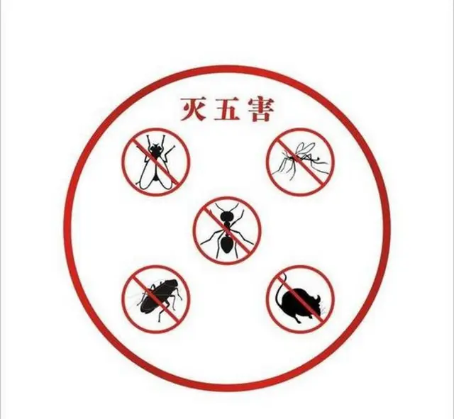 除虫除百虫：灭蟑螂、四害防治、防鼠灭鼠、灭臭虫 - 图片 9