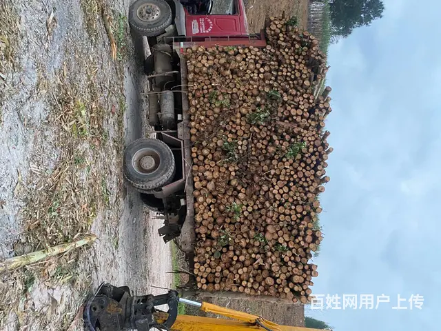 【搞定了！】其他 自卸车 国3 - 图片 5