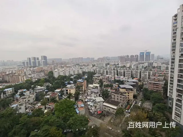 前山 二城心作 精装高层 四房 采光好 拎包入住 - 图片 12
