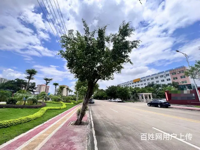 （51旺铺推荐）定安县19000平厂房招租 - 图片 11