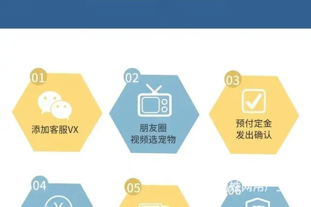 七台河哪里有宠物店 金毛犬 小女生推荐 - 图片 5