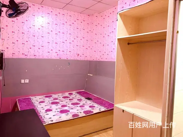 押一付一公寓500！华茂雅居大悦城南洪街华茂 - 图片 10