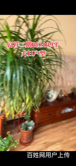 富祥家园109平电梯12楼，南北57万 - 图片 6