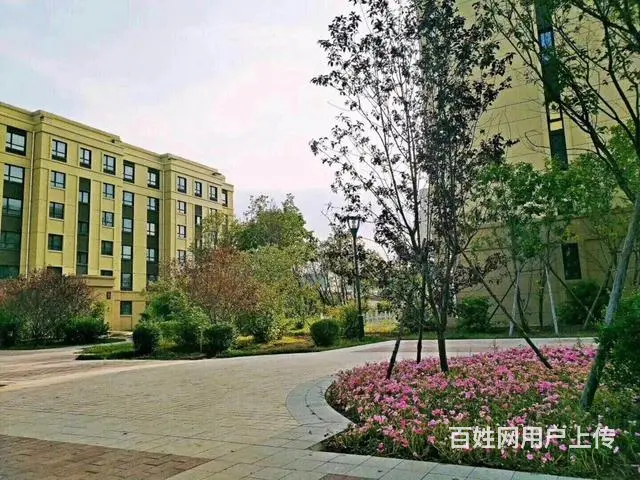 绿地香榭丽舍  低首付 H格局加1 毛坯现房 - 图片 2