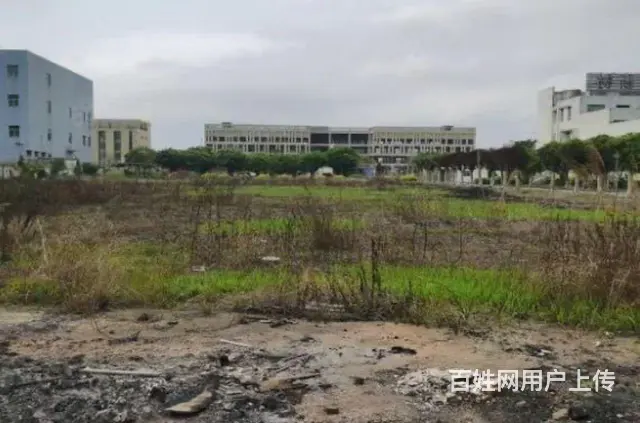 金湾三灶科技园厂房占地46546平，股权转让1.1亿，位置好 - 图片 8