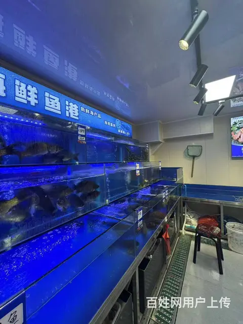 道里区工农大街早夜市海鲜店出兑 店铺转让 - 图片 11