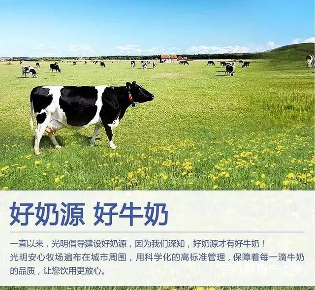 韶关卡士酸奶批发零售 - 图片 3