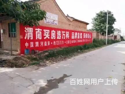 邢台刷墙广告农资墙体工笔画广告 - 图片 1