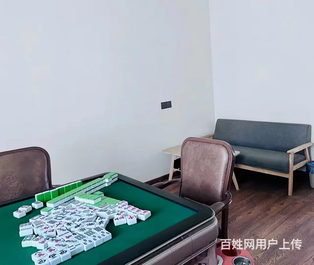 （极 致）武义罗山村台球室转让！接手即可营业！ - 图片 5