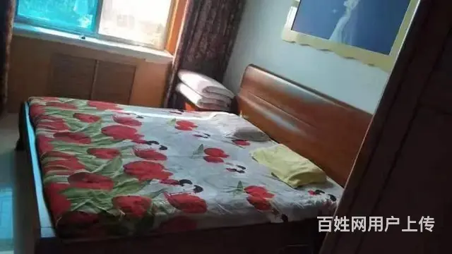 植物园对面 普通住宅 中等装修带地下室 - 图片 7