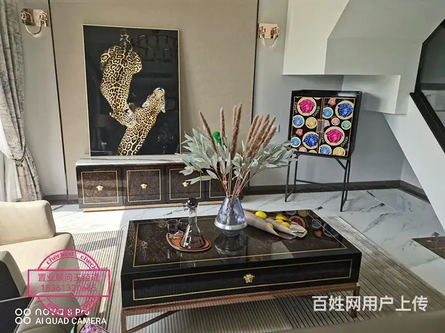 茅山度假养老精装别墅叠加 山湖城颐园旁 免费专车接 - 图片 10