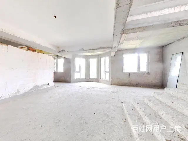 金鸡湖壹号三联排中间户 毛坯做好土建 南北双花园 - 图片 7