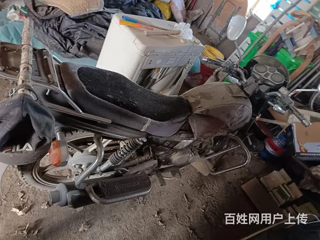 非诚勿扰 - 图片 7