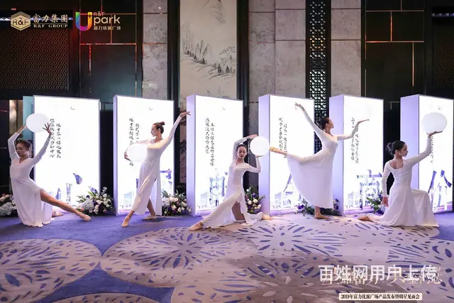 沈阳演艺演出团队表演 - 图片 2