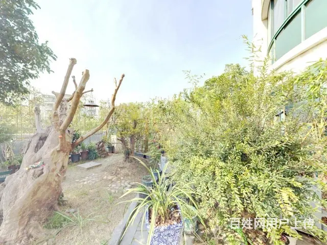 带60方大露台 诚心出售 户型正气 看房方便 提前 - 图片 9