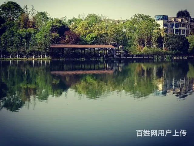 前后花园电梯防空洞近400平豪宅 - 图片 4