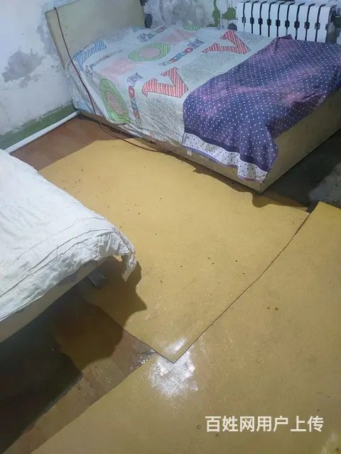 300元出租实体墙温暖单间 - 图片 3