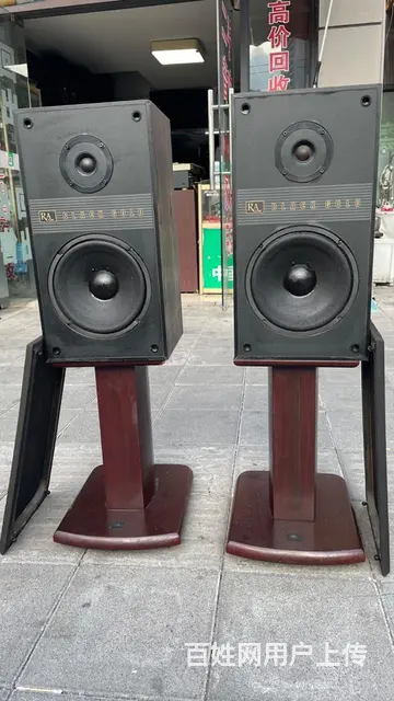 美国原装进口RA二分频低音8寸发烧音箱 - 图片 1
