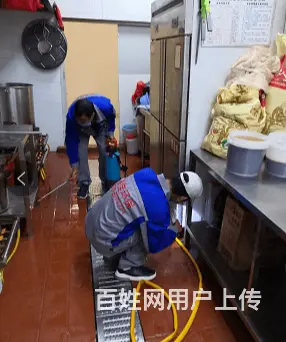 商丘灭蟑螂电话商丘绿佳环保 - 图片 3