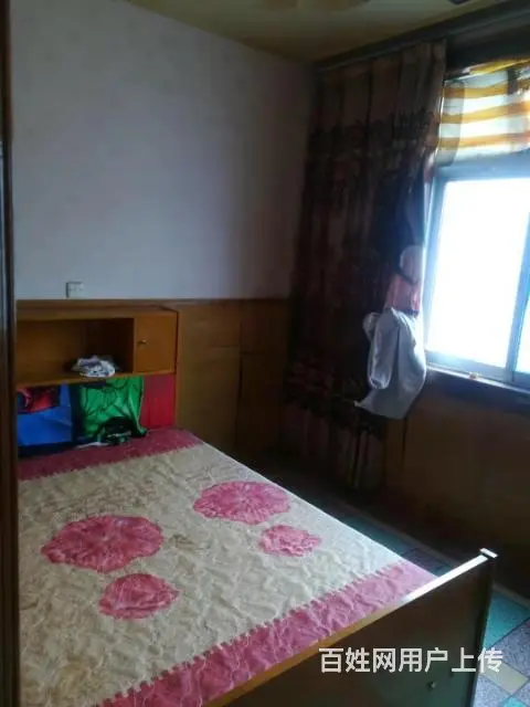 高架下整栋多用途房屋内院停车居住办公做生意仓库 - 图片 3