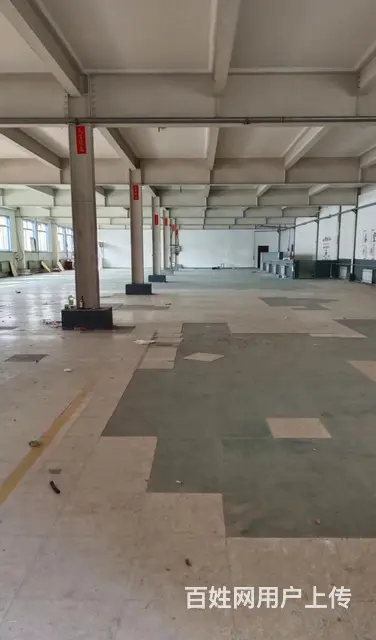 威海经区天冬附近多面积标准厂房出租 - 图片 3