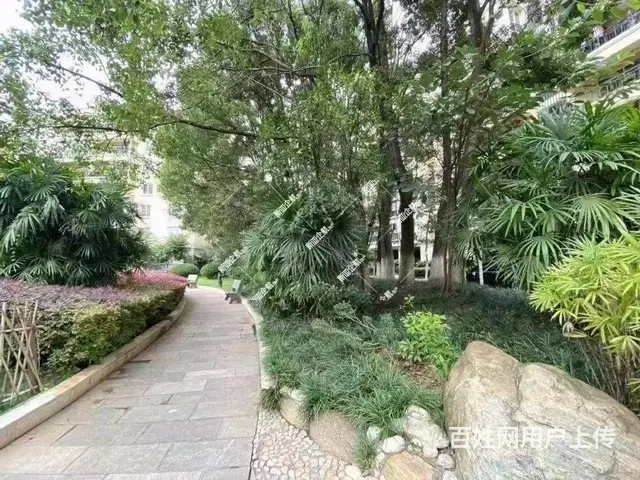 昆明捡漏 套三单 俊发盛唐城 产权清晰 无按揭 自住精装修 - 图片 11
